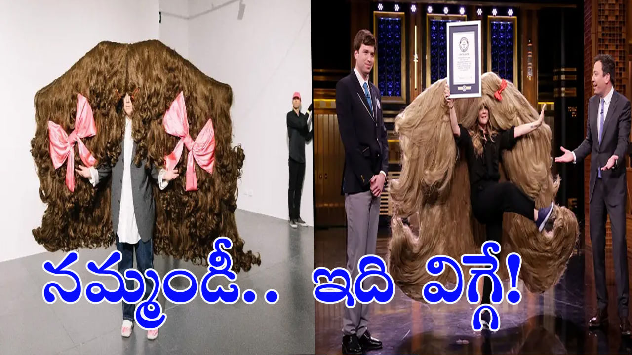 World's Widest Wig: ఇది విగ్గే.. కాకపోతే కాస్త పె..ద్ద..ది! గిన్నీస్‌ రికార్డు బ్రేక్‌ చేసిన మహిళ..