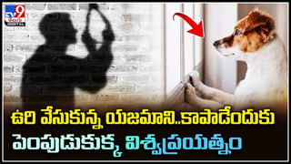 Monkey Viral Video: నువ్వు దేవుడివి బాస్‌.. ఇదికదా అసలైన మానవత్వం అంటే.. కోతిపిల్లకు పునర్జన్మ ఇచ్చినట్టే.