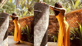 kick Movie: మాస్ రాజా కిక్ సినిమాలో ఇలియానా చెల్లి  గుర్తుందా..? ఓ రేంజ్‌లో అందాలతో రెచ్చిపోయిందిగా..