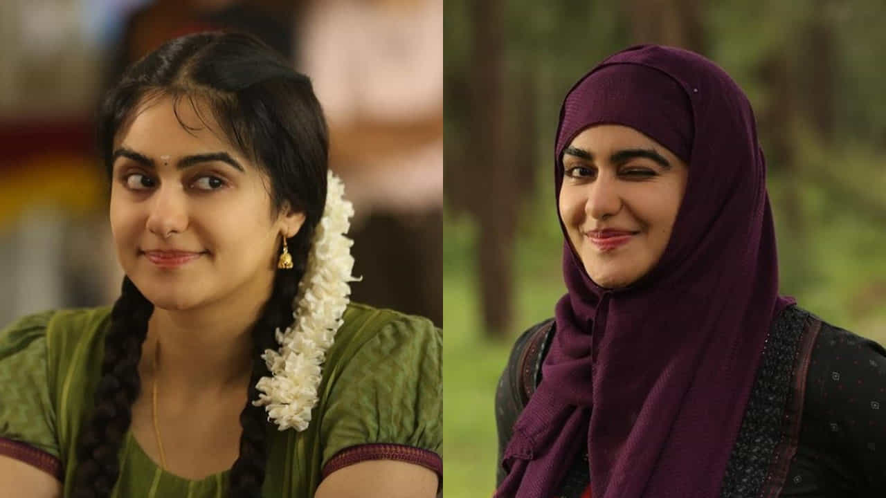 ఈ సినిమాపై నిషేధం విధించిన రాష్ట్రాల్లో కొన్ని చోట్ల తాజాగా ప్రదర్శనకు అనుమతులు లభించాయి. ఈ వివాదాలేవీ సినిమాపై ప్రభావం చూపకపోవడం, రోజురోజుకు పెరుగుతున్న ప్రేక్షక ఆదరణ పట్ల చిత్ర బృందం ఆనందం వ్యక్తం చేస్తోంది.