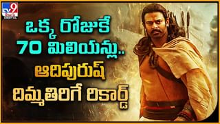 Balakrishna Birthday: బాలయ్య బర్త్ డేకు భారీ అప్‌డేట్స్.. ఒకటా.. రెండా.. వీడియో.