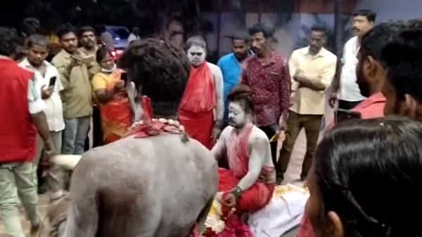 Aghora Puja Video: డెడ్ బాడీపై పద్మాసనం.. పొట్టపై కూర్చుని అఘోరా పూజలు.. ఒళ్లు గగుర్పొడిచే వీడియో