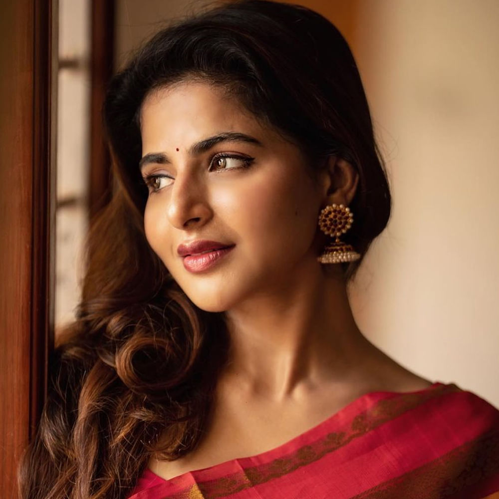 పదేళ్ల కెరియర్  లో ఆమె టాలీవుడ్ ఇండస్ట్రీలోకి అడుగుపెట్టలేదు. ఇక ఇప్పుడు తెలుగు తెరకు పరిచయం కాబోతుంది. 