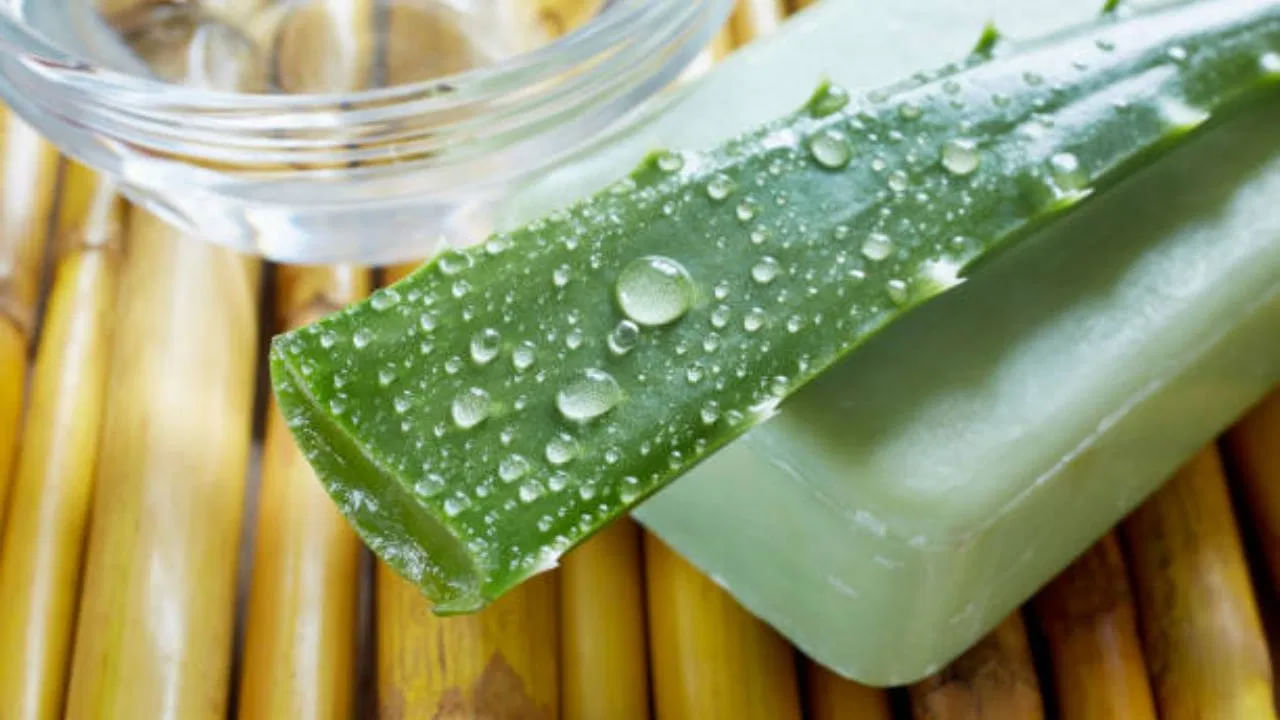 Aloe vera has antioxidant and anti-inflammatory properties.  They protect the skin.  Aloe vera gel reduces acne problems, heals wounds as well as removes sunburn and moisturizes the skin.