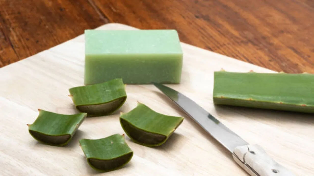 Aloe vera gel is mostly used for skin.  This is the easiest, most effective way to use aloe vera on the skin.  But if you make aloe vera soap and use it, you will notice a wonderful change. 