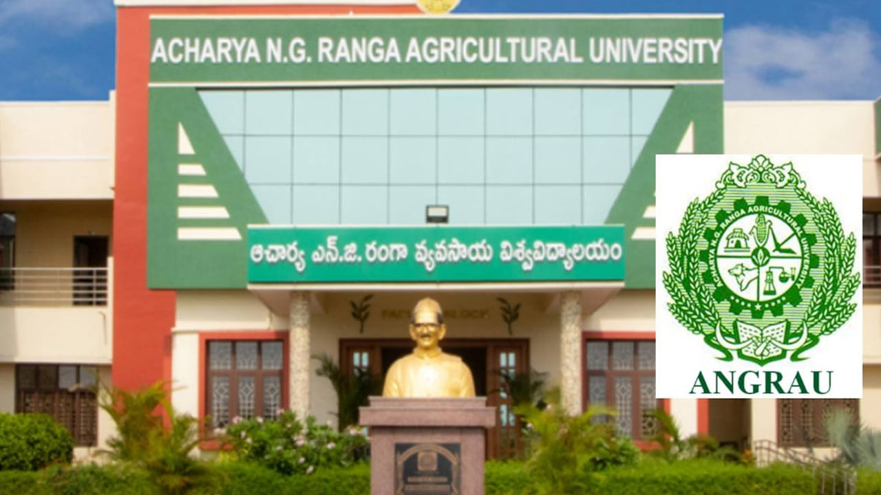 ANGRAU: ఆచార్య ఎన్జీ రంగా వర్సటీలో ఉద్యోగాలు.. ఎలాంటి రాత పరీక్ష లేకుండానే ఎంపిక
