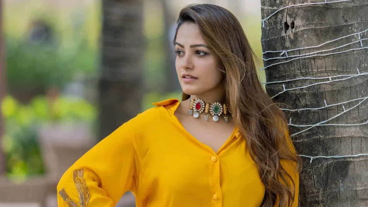 అనితా హసానందని (నటాషా) బుల్లితెర పై నటిగా అడుగు పెట్టి.. అనంతరం సినిమాల్లో కూడా నటించింది. అనిత కు కెరీర్ వెండి తెరపై కంటే స్మాల్ స్క్రీన్ పైనే హిట్ గా సాగింది.. ఆమె కెరీర్ను ఏక్తా కపూర్ మళ్ళీ సక్సెస్ బాట పట్టించిందని చెప్పవచ్చు. ఏక్తా కపూర్ అనితా హసానందానికి ఒకటి కాదు అనేక సీరియల్స్ లో అవకాశం ఇచ్చింది. చివరిగా నాగిన్లో కనిపించింది అనితా హసానందని.
