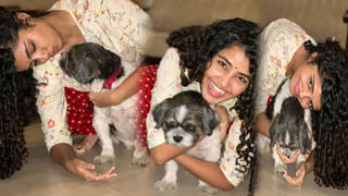 Sneha: ట్రెండీ డ్రెస్‌లో ఆహా అనిపిస్తున్న అందాల స్నేహ..