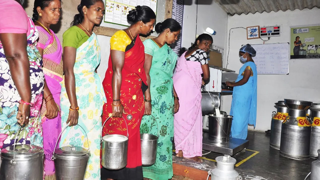 Andhra Pradesh: జగన్ సర్కార్ స్థానిక డెయిరీల కంటే 'అమూల్'కే ప్రాధాన్యమిస్తోందా? ఏపీ ప్రభుత్వం వివరణ ఇదే