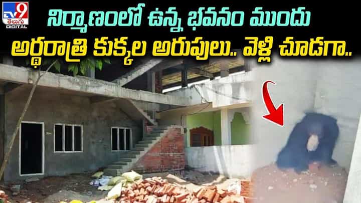 నిర్మాణంలో ఉన్న భవనం ముందు అర్థరాత్రి కుక్కల అరుపులు.. వెళ్లి చూడగా !! నిర్మాణంలో ఉన్న భవనం ముందు అర్థరాత్రి కుక్కల అరుపులు.. వెళ్లి చూడగా !!
