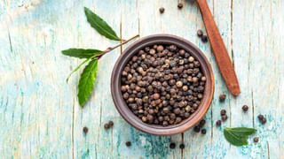 Green Coriander: కొత్తిమీర కదా అని లైట్ తీసుకుంటున్నారా.. ఇది మానవ శరీర ఆరోగ్యానికి శ్రీరామరక్ష..