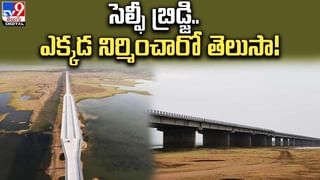 ఏనుగుతో యువతి పరాచకాలు.. ఏం చేసిందో చూడండి