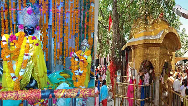 Sri Krishna Temple: మీరాతో కలిసి నివసించే శ్రీకృష్ణుడు.. ప్రపంచంలో ఏకైక ఆలయం.. రోజు సాయత్రం కన్నయ్య వస్తాడని విశ్వాసం..