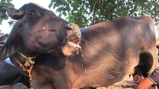 Rs 2000 Note: అలాంటప్పుడు రూ.2 వేల నోట్లు ఎందుకు తెచ్చారు.. కేంద్రంపై అసదుద్దీన్, జగదీశ్ ఫైర్..