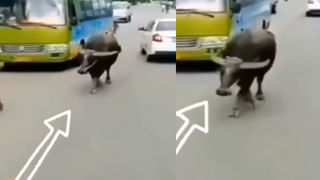 Viral: ఆన్‌లైన్‌లో కుక్కర్ ఆర్డర్ పెట్టిన వ్యక్తి.. ఇంటికి వచ్చిన పార్శిల్.. ఓపెన్ చేయగా షాక్