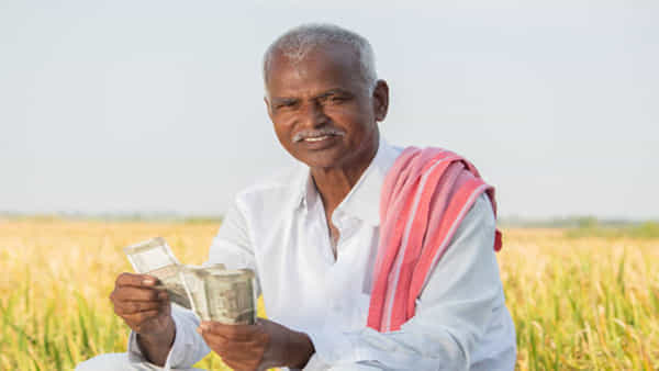Business Ideas : మీకున్న కొద్దిపాటి భూమిలో ఈ పంట సాగు చేస్తే రెట్టింపు ఆదాయం.. ప్రభుత్వం సబ్సిడీ కూడా..