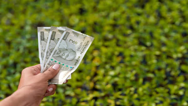 Business Ideas : గిరాకీ ఎక్కువ, సాగు ఖర్చు తక్కువ..ఈ పంట పండిస్తే బ్యాంక్ బ్యాలెన్స్ అమాంతం పెరుగుతుంది.!!