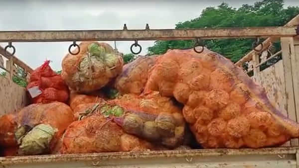 Andhra Pradesh: క్యాబేజీ లోడ్తో రయ్.. మంటూ వచ్చిన మినీ ట్రక్.. అనుమానంతో తనిఖీ చేసిన పోలీసులు షాక్