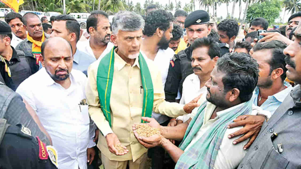 Chandrababu: రైతులను ఆదుకోవడంలో విఫలం.. వైసీపీ సర్కారుపై మండిపడ్డ టీడీపీ అధినేత చంద్రబాబు