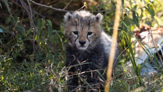 Srinagar G 20: శ్రీనగర్‌లో విజయవంతంగా ముగిసిన G-20 సదస్సు.. చిగురిస్తున్న కశ్మీరీల కొత్త ఆశలు..