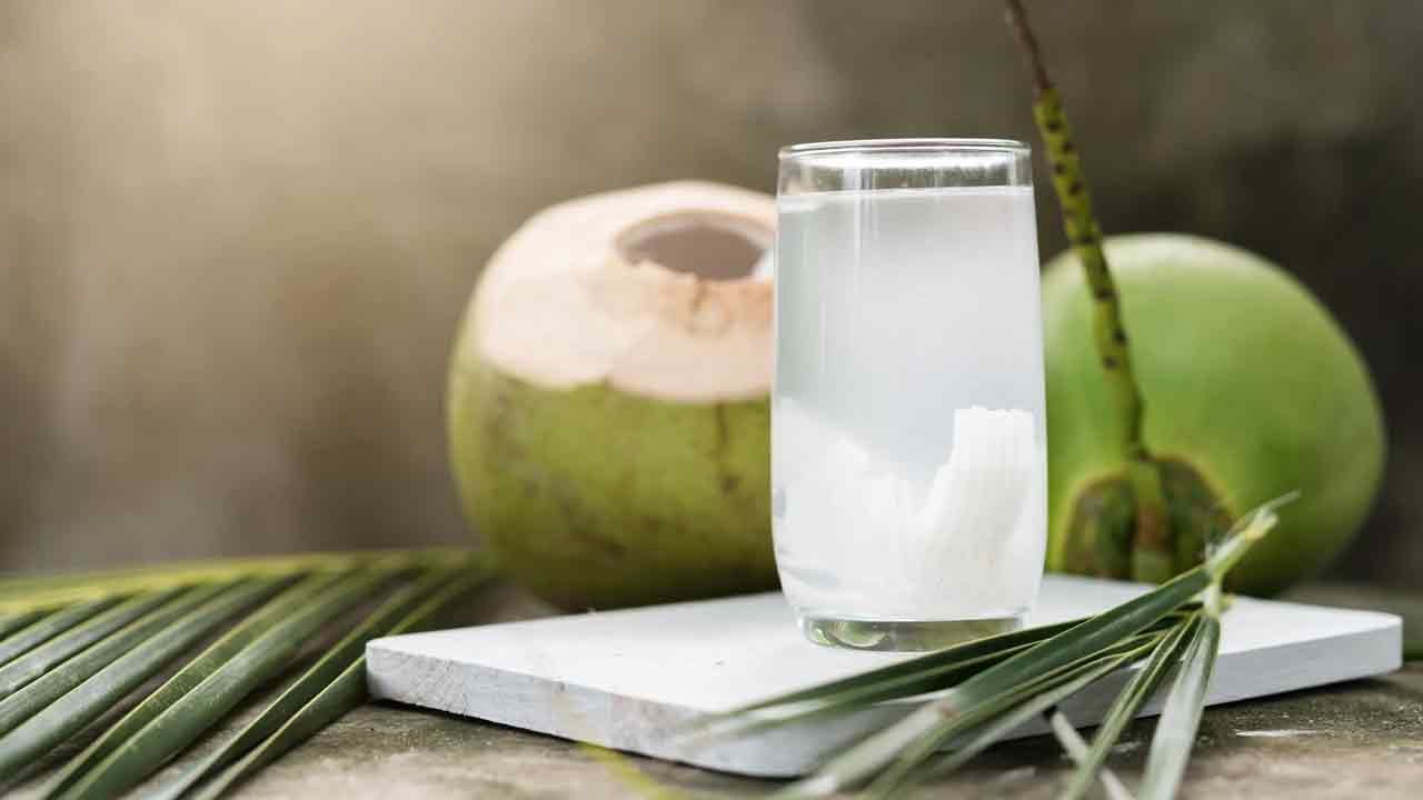 Coconut Water: 'కొబ్బరి నీళ్లు' కిడ్నీలో రాళ్లను నిజంగా దూరం చేయగలదా.. వైద్యులు ఏమంటున్నారంటే..