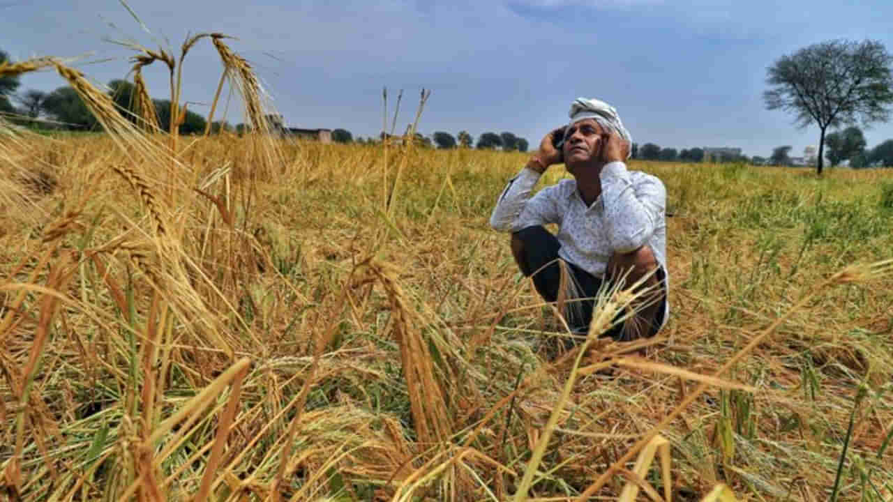 Rains: ఓవైపు వర్షాలు, మరోవైపు రాజకీయం.. పంట నష్టాన్ని రాజకీయాంశంగా మారుస్తున్న తెలుగు రాష్ట్రాల పార్టీలు