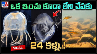 Minister video call Leak: మహిళతో రాష్ట్ర మంత్రి రాసలీలలు.. వీడియో లీక్..!