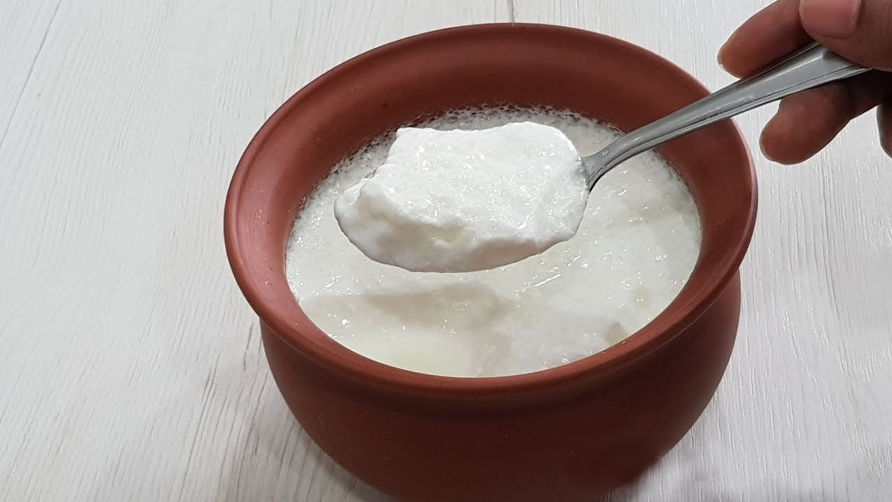 Curd Benefits: వర్షాకాలంలో పెరుగు తినడం ఆరోగ్యానికి మంచిదా..? కాదా..