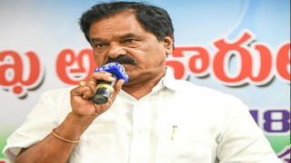 Donkey Meet: గుంటూరులో విచ్చలవిడితనం.. దర్జాగా గాడిద మాంసం అమ్మకాలు.. కట్ చేస్తే..