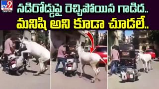 పెళ్ళి పీటల నుంచి నేరుగా  జైలుకు.. కోర్టు ఆవరణలోనే పెళ్లి.. అసలు ఏం జరిగిందంటే ??