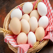 Egg Telugu 