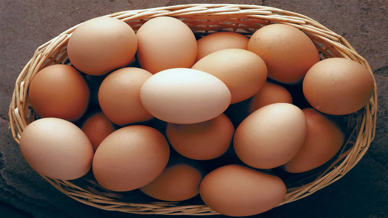 Egg Telugu egg-telugu