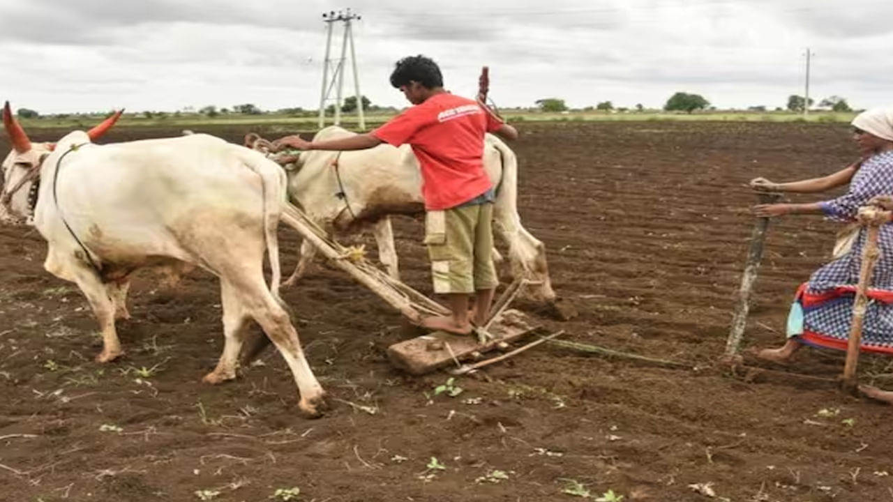 పీఎం కిసాన్ యోజన కింద ఇప్పటివరకు 13 వాయిదాలను రైతులకు అందించింది. ఈ క్రమంలో 14వ విడత సాయం రూ. 2000ల సాయం కోసం అంతా ఎదురు చూస్తున్నారు. తాజా సమాచారం ప్రకారం కొంతమంది రైతులు 2 వాయిదాల సాయం అంటే రూ. 4000లను ఒకేసారి అందుకుంటారని తెలుస్తోంది.