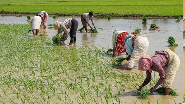 Telangana: వర్షాల వల్ల నష్టపోయిన రైతులకు శుభవార్త.. ఎకరానికి రూ.10వేలు.. డేట్ ఫిక్స్ చేసిన సర్కార్