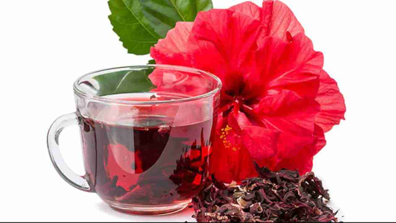 Hibiscus Tea:  రుచి, ఆరోగ్యం రెండింటిలోనూ టాప్.. మందార టీ ఎలా చేసుకోవాలి.. ఆరోగ్య  ప్రయోజనాలు ఏంటంటే..