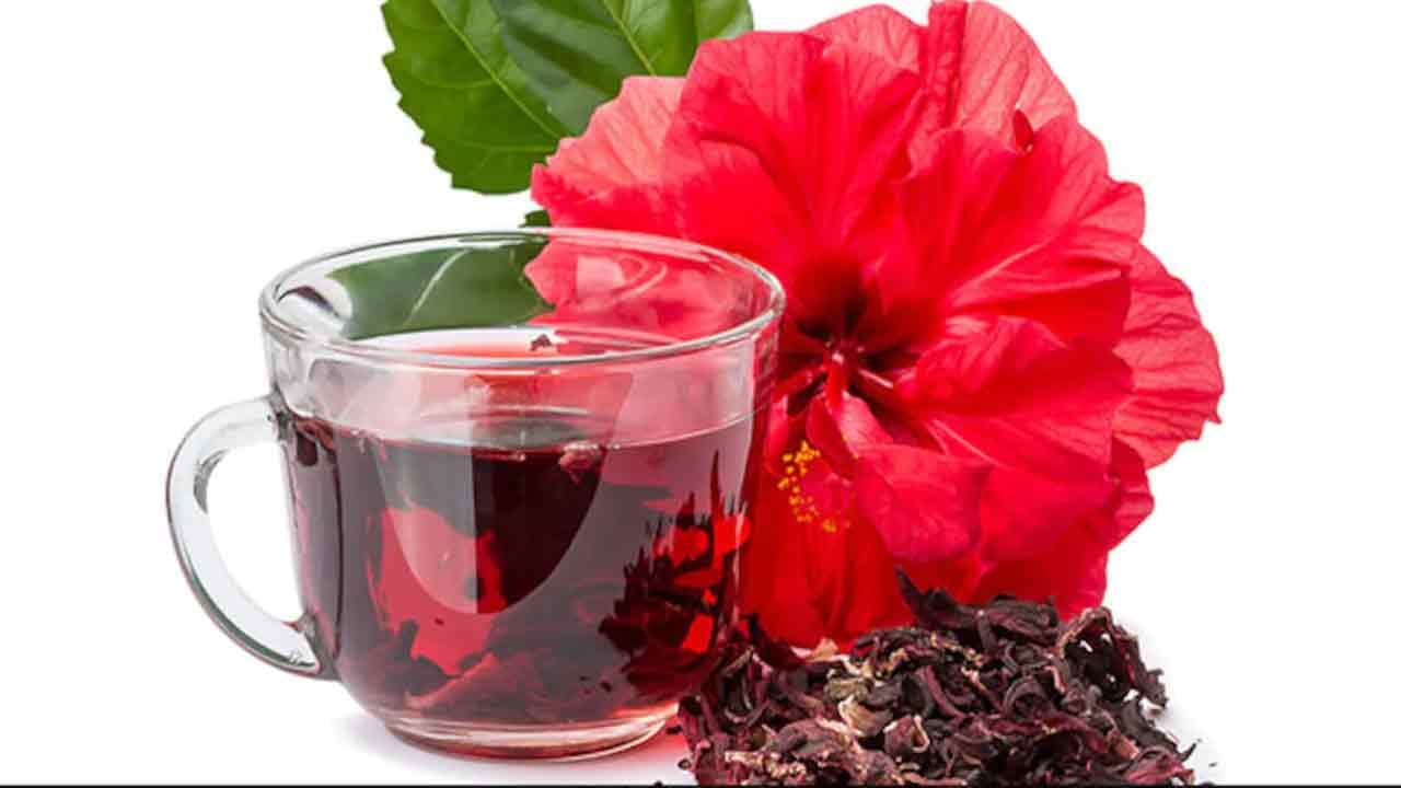 Hibiscus Tea:  రుచి, ఆరోగ్యం రెండింటిలోనూ టాప్.. మందార టీ ఎలా చేసుకోవాలి.. ఆరోగ్య  ప్రయోజనాలు ఏంటంటే..