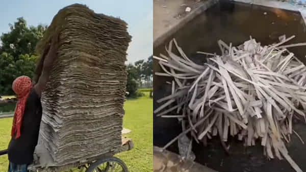 Viral Video: స్క్రాప్ పేపర్ నుండి పేపర్ ఎలా తయారు చేస్తారో తెలుసా...? ఇంట్రెస్టింగ్ వీడియో వైరల్..