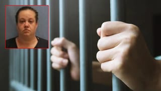 Dog Walks 64km: ఆ కుక్క విశ్వాసం అనంతం.. 27 రోజుల పాటు 64 కిలోమీటర్లు నడిచి పాత యజమానికి వద్దకు.. అసలేం జరిగిందంటే..