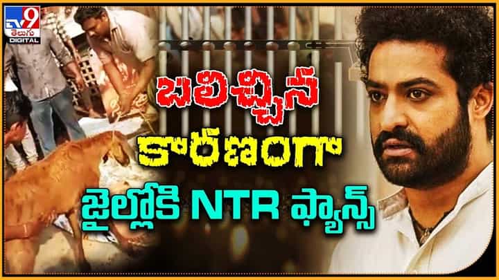 బలిచ్చిన కారణంగా జైల్లోకి NTR ఫ్యాన్స్.. బలిచ్చిన కారణంగా జైల్లోకి NTR ఫ్యాన్స్..