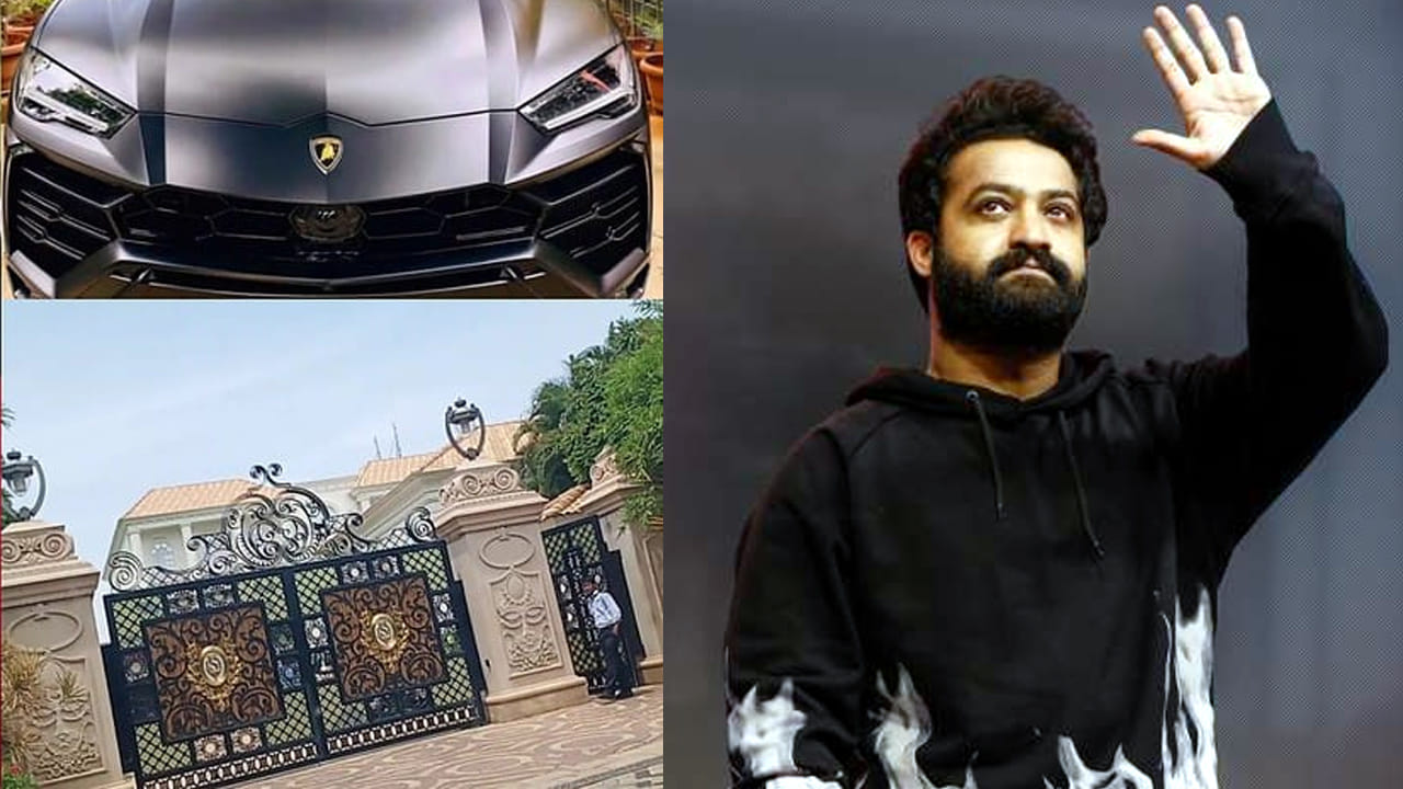 Jr.NTR: కోట్లకు వారసుడు.. మంచితనంలో మహారాజు.. ఎన్టీఆర్ ఆస్తుల విలువ తెలుసా ?..