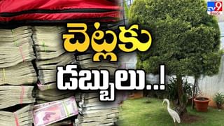 Neera Cafe: సాగర తీరంలో ప్రారంభమైన నీరా కేఫ్‌.. లైవ్ వీడియో