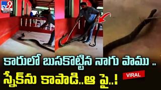 డ్యూటీనుంచి ఇంటికొచ్చిన భర్తకు ఘనంగా స్వాగతం పలికిన భార్య.. వీడియో చూస్తే షాకే