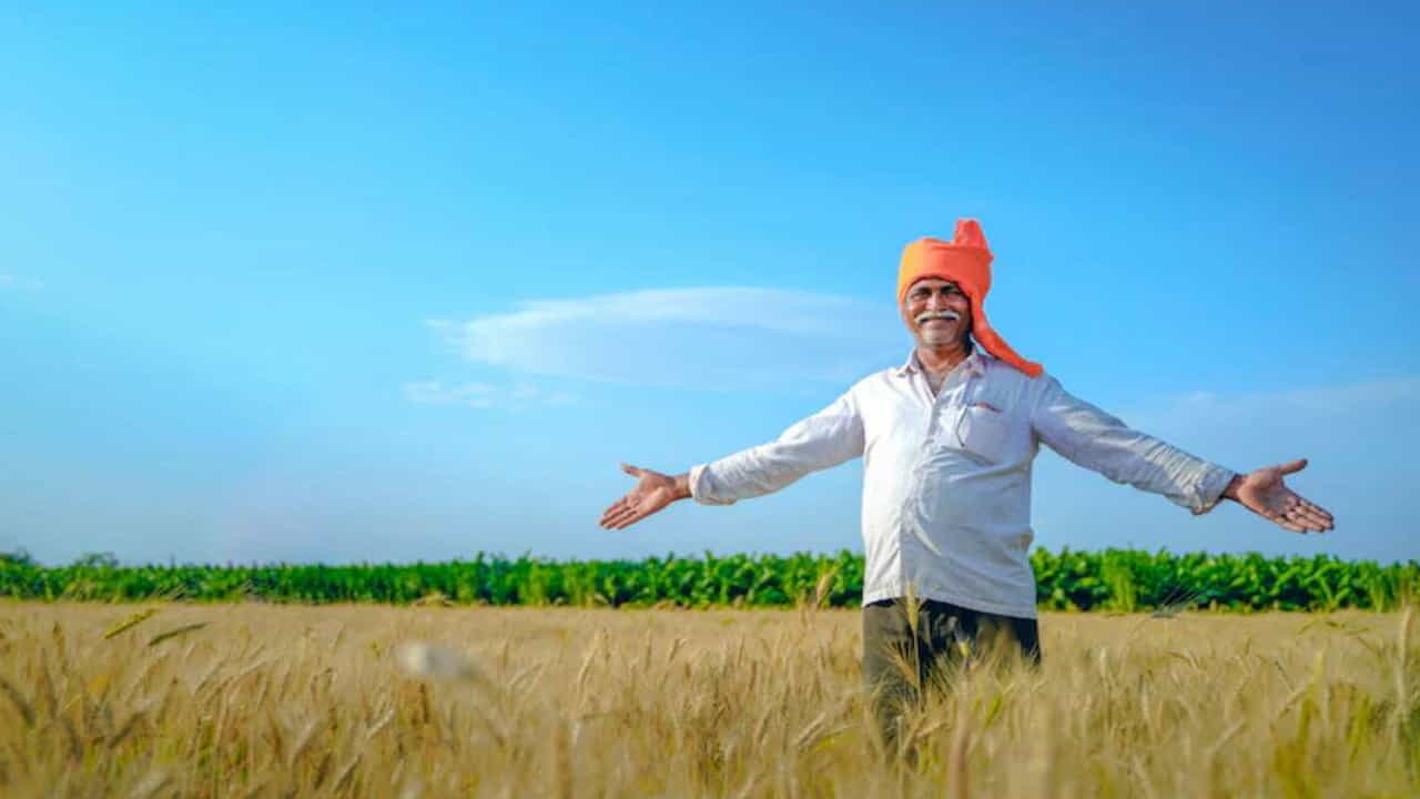 ఈ పథకం కింద ప్రభుత్వం చిన్న, సన్నకారు రైతు కుటుంబాలకు ఏటా రూ. 6000 అందజేస్తుంది. దీని కింద ఏడాదికి మూడు వాయిదాల ద్వారా ఈ రూ. 6000లను రైతుల ఖాతాలో జమ చేస్తారు.