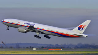 Watch Video: తల్లి తోకతో ఆటలాడుకున్న చిరుత కూన, వీడియో వైరల్