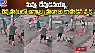 Watch Video: ఇంట్లో ప్రత్యక్షమైన నాగుపాము.. చాకచక్యంగా పట్టుకున్న స్నేక్ క్యాచర్..