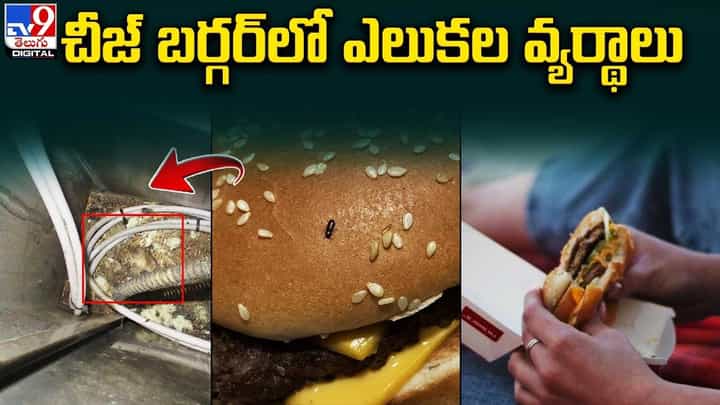 మెక్డొనాల్డ్స్పై రూ.5 కోట్ల జరిమానా విధించిన కోర్టు !! ఎందుకో తెలుసా ?? మెక్డొనాల్డ్స్పై రూ.5 కోట్ల జరిమానా విధించిన కోర్టు !! ఎందుకో తెలుసా ??