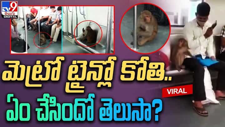 మెట్రోలో ట్రెండ్ మారింది.. ఇప్పుడు జంతువుల వంతు.. మెట్రోలో ట్రెండ్ మారింది.. ఇప్పుడు జంతువుల వంతు..