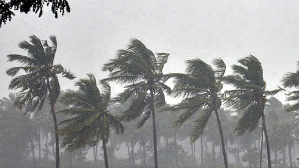 Monsoon: బయలుదేరిపోయిన నైరుతి రుతుపవనాలు.. కేరళను తాకేది అప్పుడే