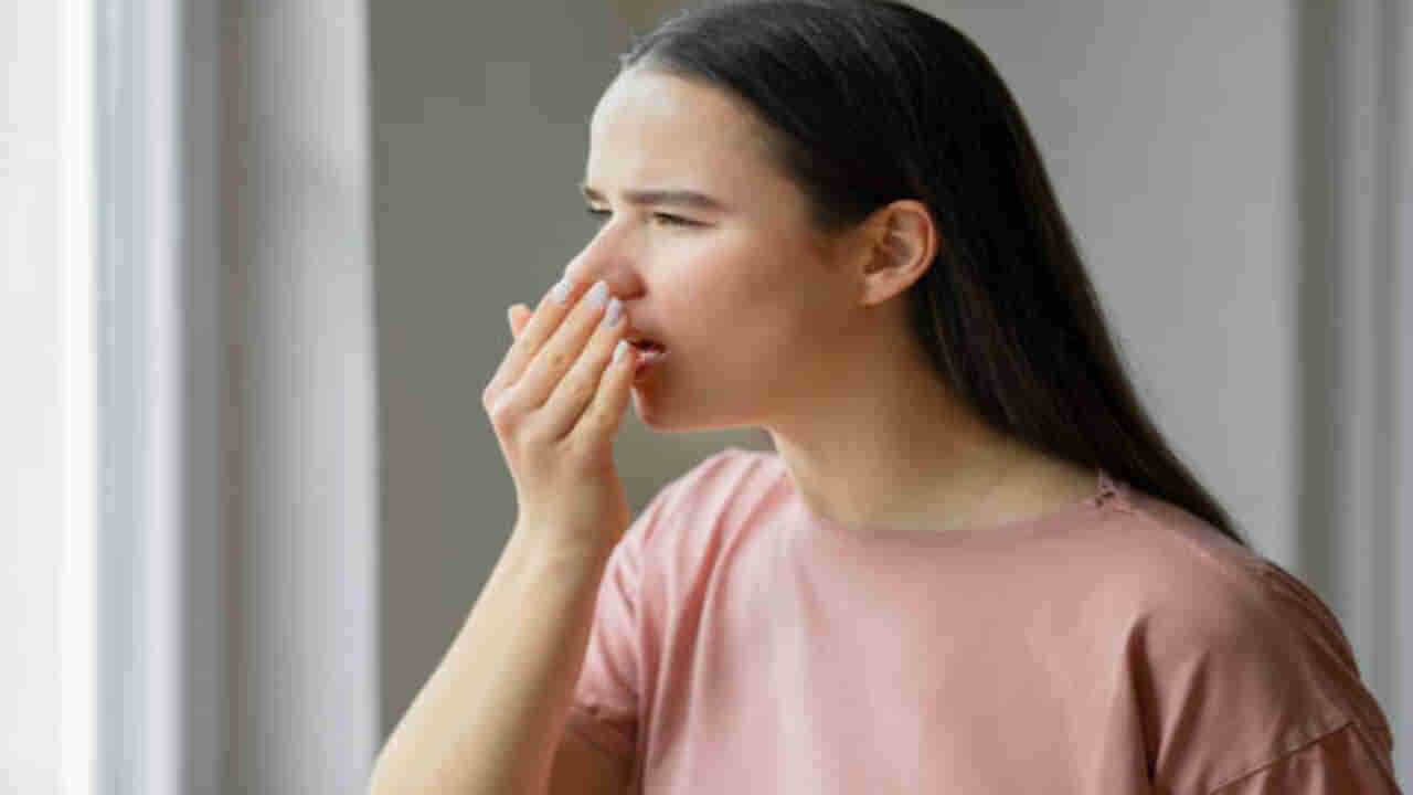 Bad Breath: నోటి దుర్వాసన రాకుండా ఉండాలంటే ఈ చిట్కాలు పాటిస్తే సరిపోతుంది.. మీ సమస్య మాయమవుతుంది..