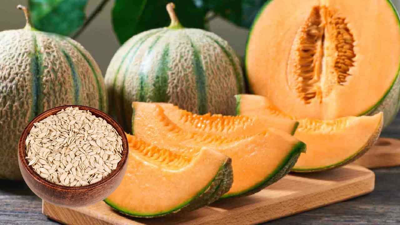 Muskmelon Seeds: మస్క్ మిలన్ గింజలు నిజంగా BP, గుండె, మలబద్ధకం సమస్యలను నయం చేయగలవా.. ఆహారంలో ఎలా తీసుకోవాలంటే..